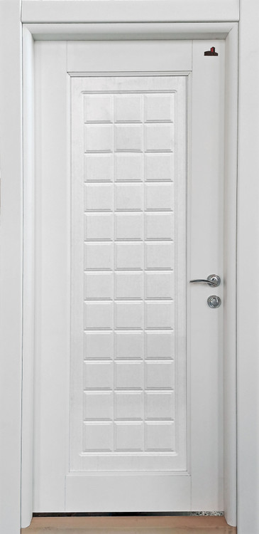 درب 100 درصد ضدآب فومیزه رپینگی با 5 سال گارانتی مدل TW66